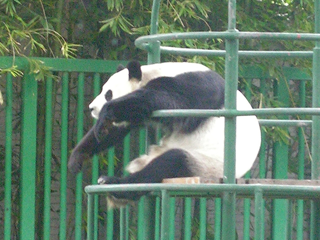 El Zoológico de Chapultepec El Zoológico de Chapultepec